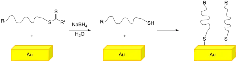 Grafting polymer on a gold surface utilizing the thiol functional end group