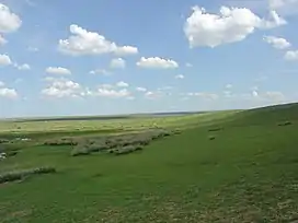 The Mongolian-Manchurian grassland in Inner Mongolia, China.