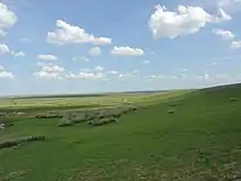 Grassland (Inner Mongolia)