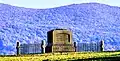 Grave of Uzal Knapp