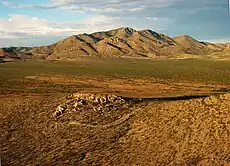 Gray Mountain from Animas Valley