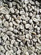 Fermented coffee (green) seeds without hulls.