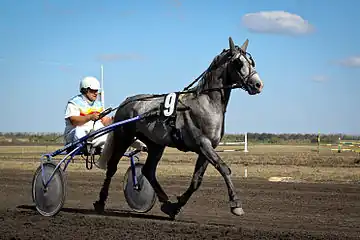 Racing sulkies are carts (Russia, 2010)