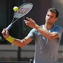 Grigor Dimitrov in 2017