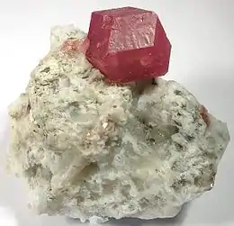 Garnet