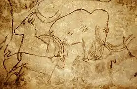 Mammoth and ibex engraved in the Rouffignac cave.