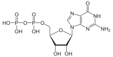 Skeletal formula of guanosine diphosphate