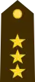 Guatemala(coronel)