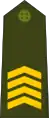 Primeiro-sargento(Army of Guinea-Bissau)