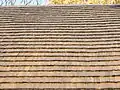 Church of Corpus Christi, Gutz, Czech Republic. Detail of shingle roof