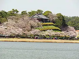 Cherry blossoms along Gyeongpo Lake.