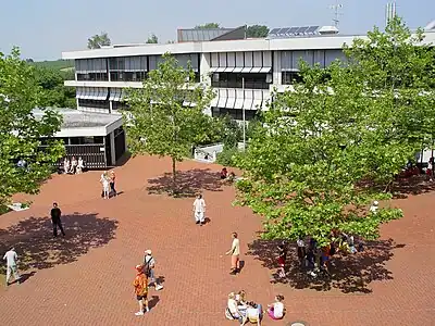 Students relax in a sunny courtyard outside between classes.