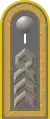 Jacke Dienstanzug Heeresuniformträger Heeresaufklärungstruppe