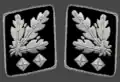 Gorget patches1942–1945(Allgemeine SS and Waffen-SS)