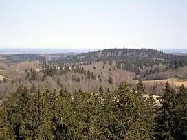 Hilly and forested landscape around Suur Munamägi