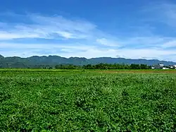 Huadong Valley, the Coastal Mountain Range can be seen in the distance