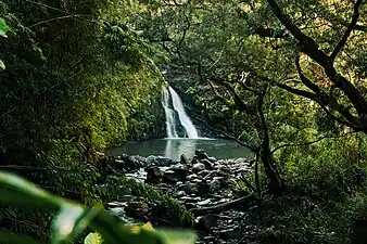 Haipua'ena Falls,  located along the famed Road to Hana