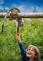 Happy little boy with a squirrel monkey