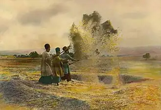 Wild wheat ears shatter when ripe, but domesticated wheat has to be threshed and winnowed (as shown) to release and separate the grain. Photograph by Harold Weston, Iran, 1920s