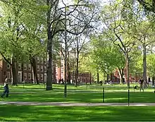 grass under trees with some buildings in the background