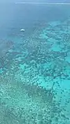 Hastings Reef