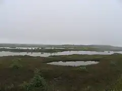 Lakes and peat bog, common habitats of the flora of the Anticosti-Minganie 2006