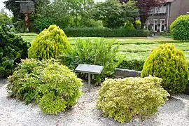 Herdenkingsplaquette-bij-brug-Son-overzicht