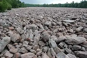  A large field of pink and grey boulders ringed by trees in the far distance. A few tiny human figures give a sense of the immense size of the boulder field.