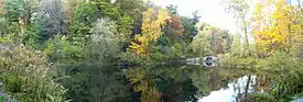 pond surrounded by green trees