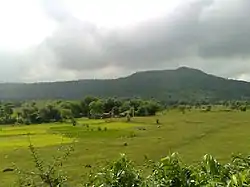 Rajmahal hills near Barhait