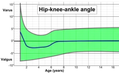 Hip-knee-ankle angle by age, with 95% prediction interval