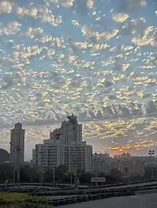 Altocumulus floccus with line of castellanus