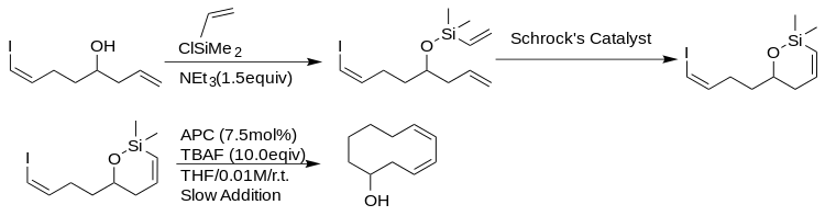 Hiyama coupling as a ring-closing reaction.