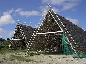 Boknafisk drying on hjells in Norway