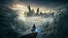 Front cover of the video game Hogwarts Legacy showing a single figure facing away from you towards Hogwarts castle.