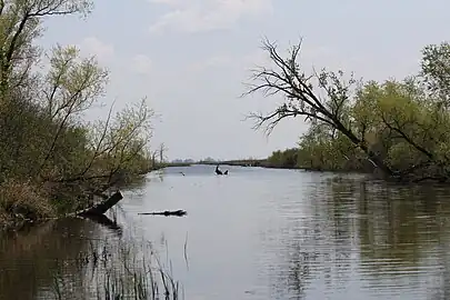 Central waterway in the marsh