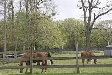 One of many horse farms in Howell