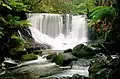 Horseshoe Falls