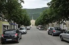 The Avenue des Marronniers in Hostun