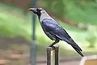 In Bengaluru, India