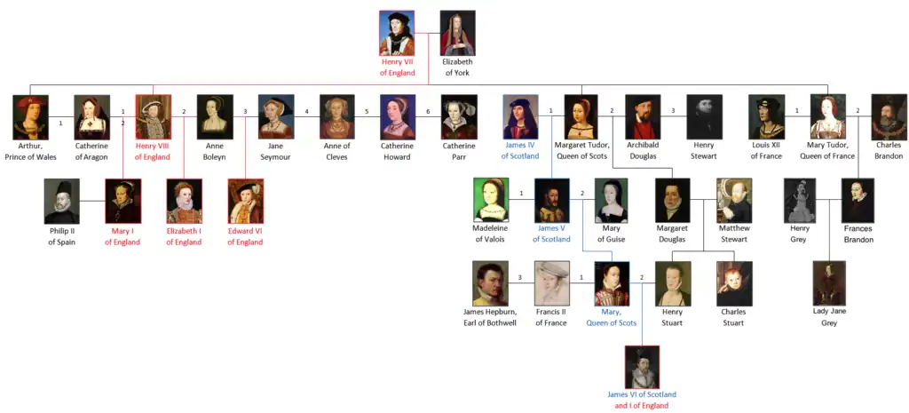 At the right Margaret Tudor with her three husbands on the Tudor family tree