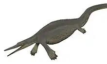 Hupehsuchus nanchangensis