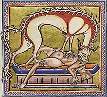 Folio 11 Verso - Hyena (Detail)