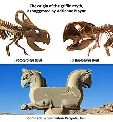 Adrienne Mayor has speculated that the discovery of Protoceratops fossils may have inspired or influenced stories of griffins