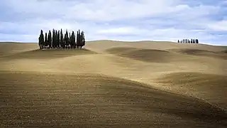 Typical landscape of the Val d'Orcia