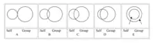 Pictorial Scale Measure of Identity Fusion.