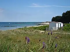 La plage des Sapins (Fir Tree Beach)