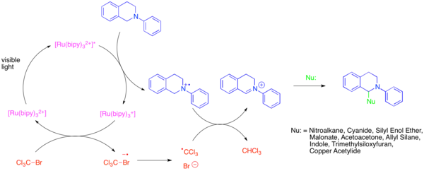 Photocatalytic generation and functionalization of iminium ions