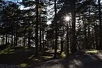 Shtamë Pass National Park