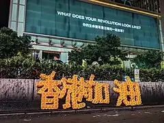 Protest message written using balloon modelling, August 2019